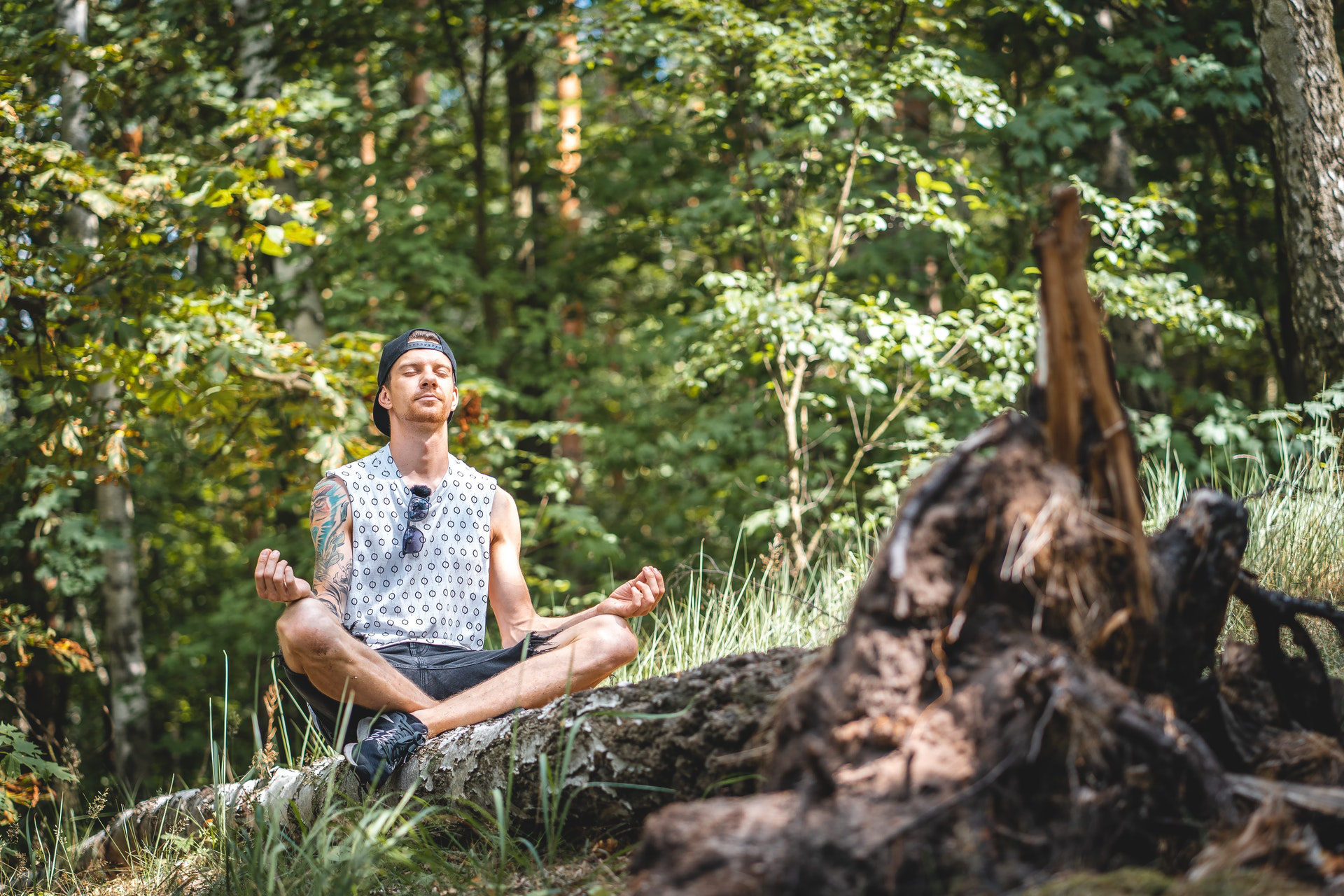 Why You Should Start a Meditation Habit and How