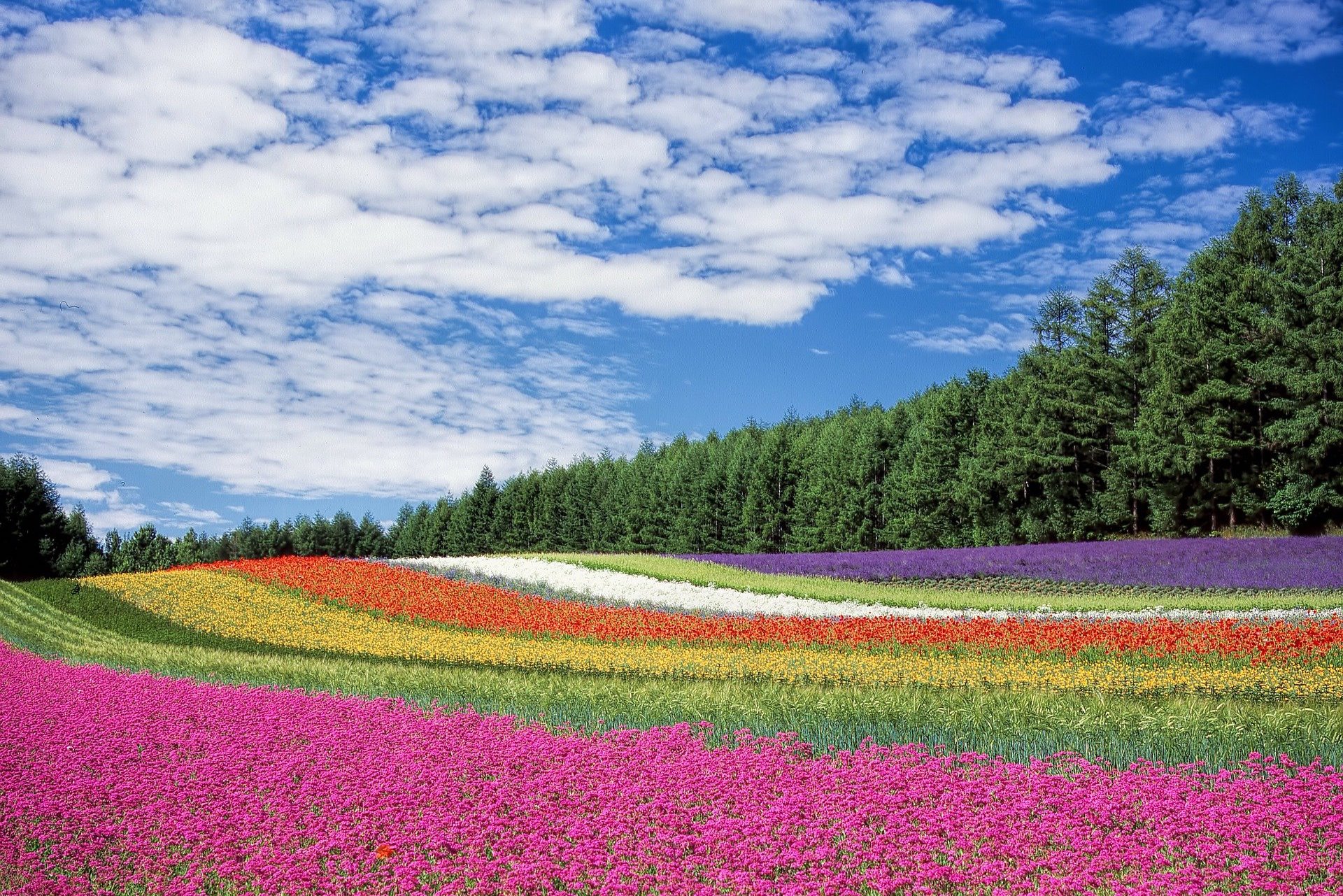 Most Beautiful Places to Travel in Spring